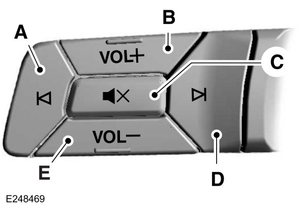 Image Shown Without Description