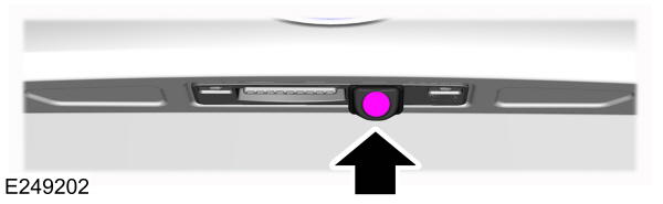 Image Shown Without Description
