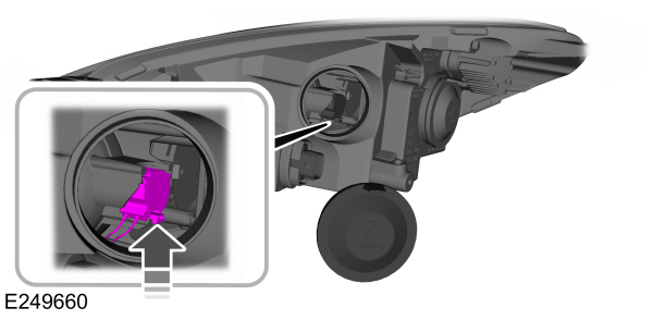 Image Shown Without Description