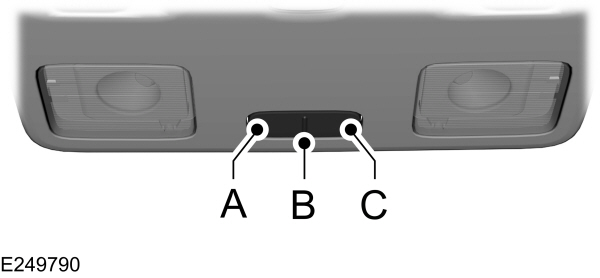Image Shown Without Description