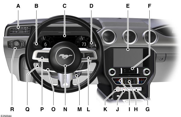 Image Shown Without Description