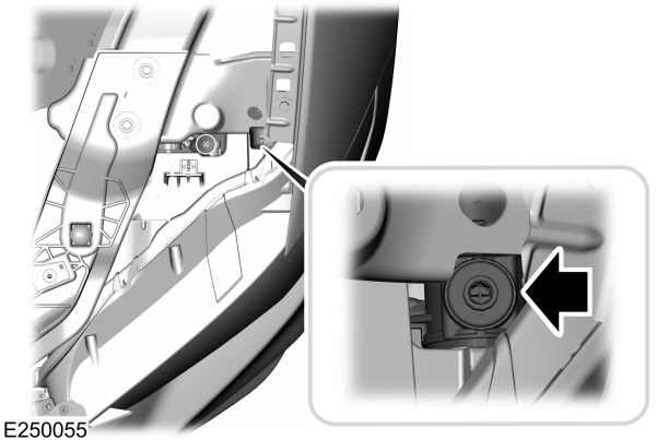 Image Shown Without Description