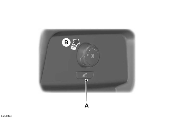 Image Shown Without Description