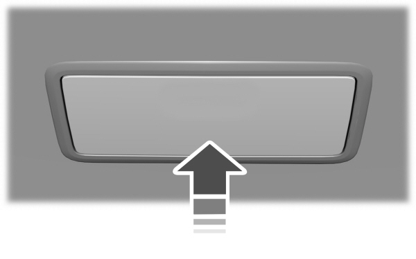 Image Shown Without Description