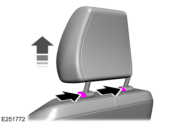 Image Shown Without Description