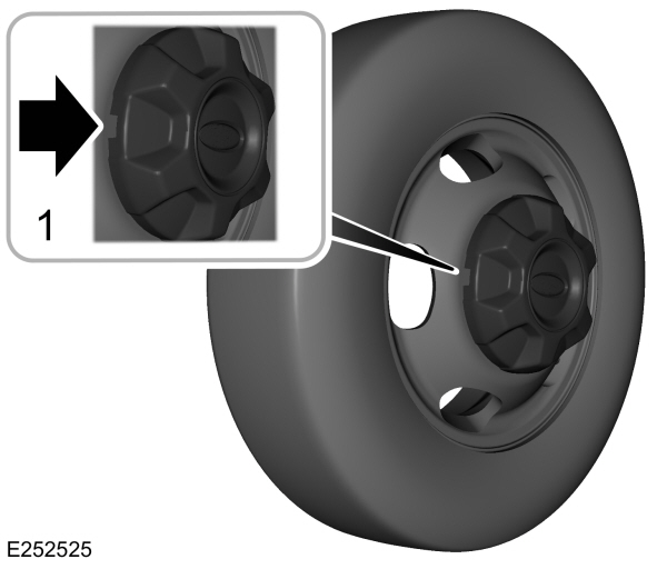 Dual Alloy Wheels Trim Removal