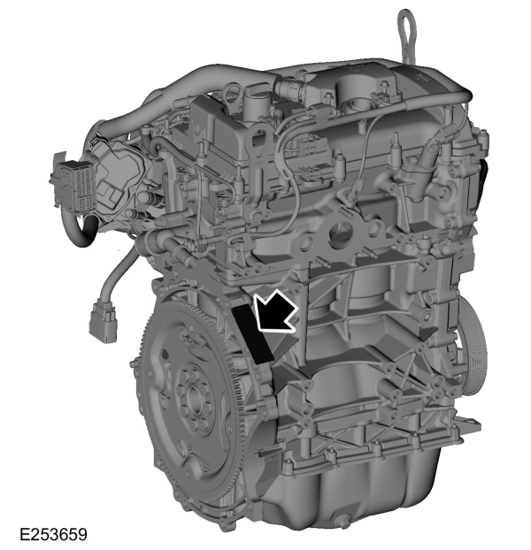 Image Shown Without Description