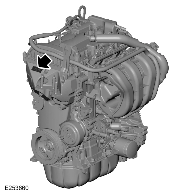 Image Shown Without Description