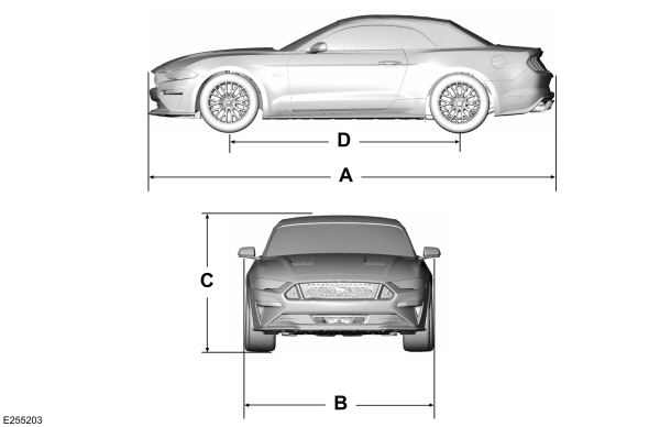 Image Shown Without Description