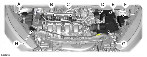 Under Hood Overview