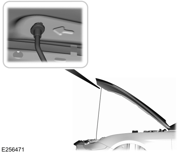 Image Shown Without Description