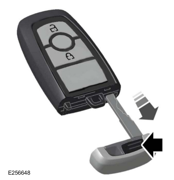 Image Shown Without Description