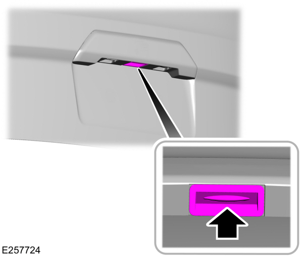 Image Shown Without Description