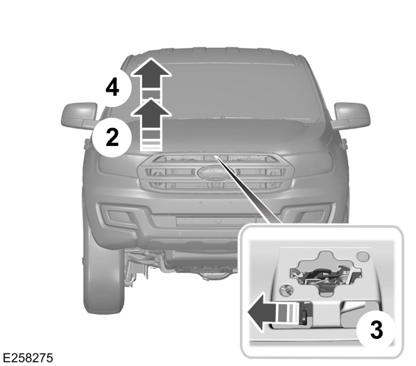 Image Shown Without Description