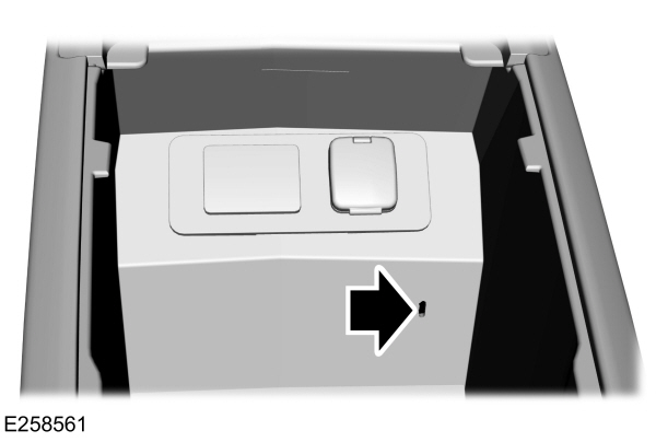 Image Shown Without Description