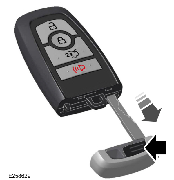 Image Shown Without Description