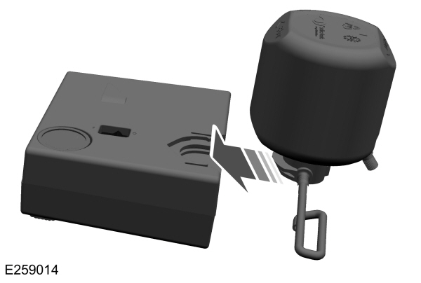 Image Shown Without Description