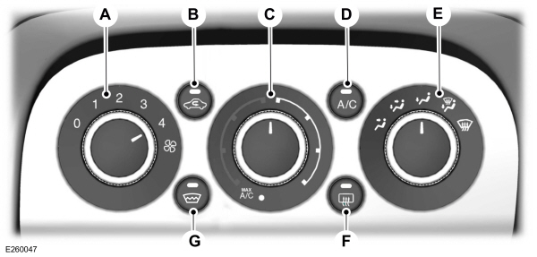 Image Shown Without Description