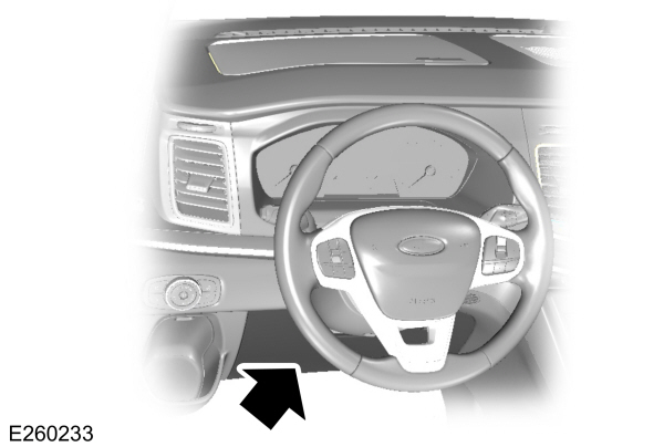 Image Shown Without Description