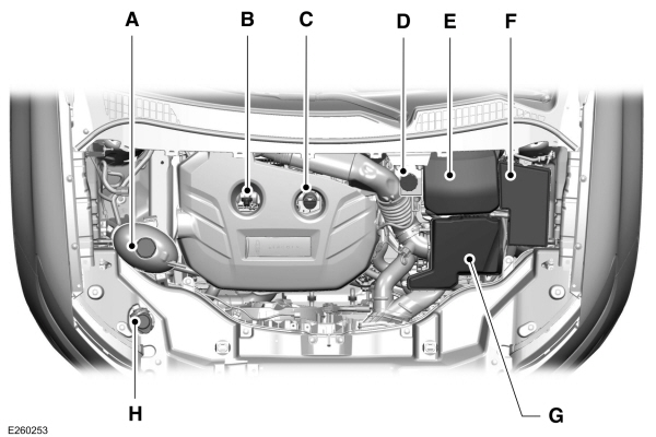Under Hood Overview