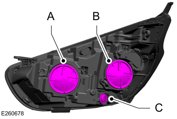 Image Shown Without Description