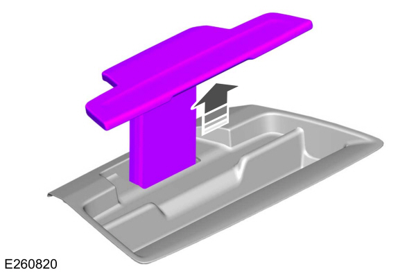 Image Shown Without Description