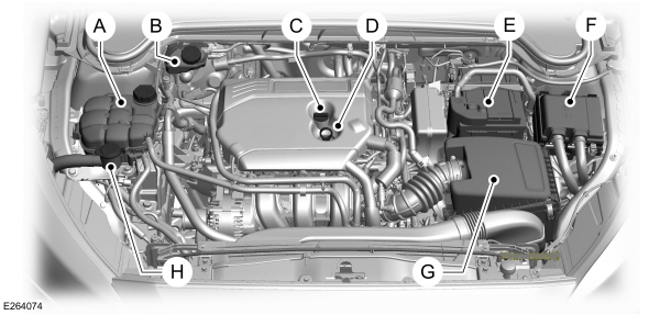 Image Shown Without Description