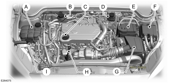 Image Shown Without Description