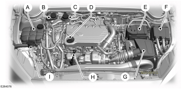Image Shown Without Description