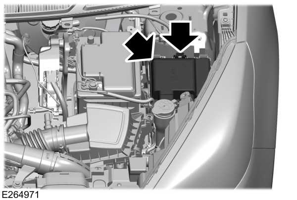 Image Shown Without Description