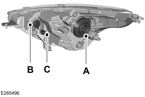 Image Shown Without Description