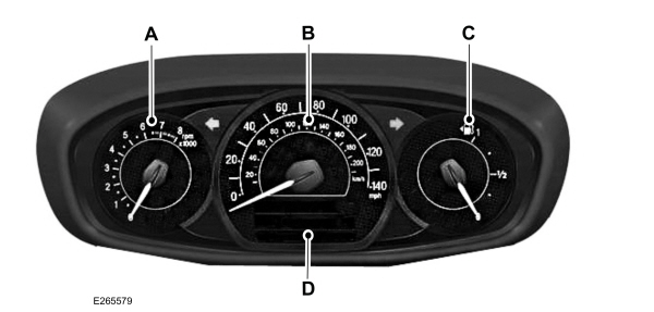 Image Shown Without Description