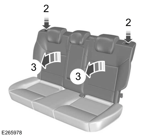 Image Shown Without Description