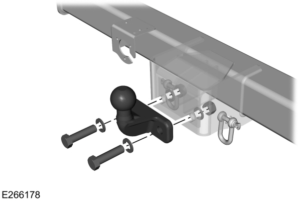 Image Shown Without Description