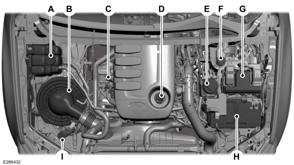 Image Shown Without Description