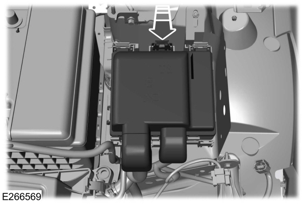 Image Shown Without Description
