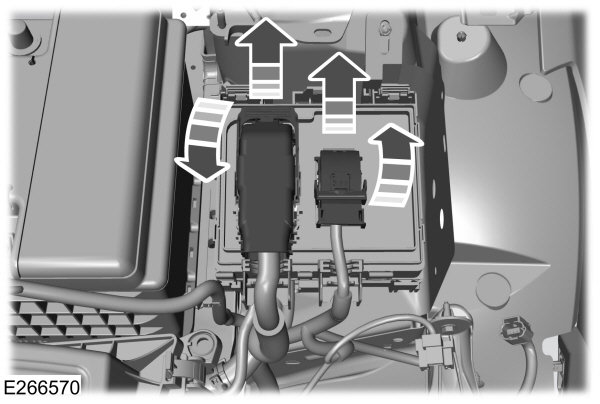 Image Shown Without Description