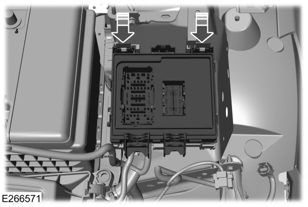 Image Shown Without Description