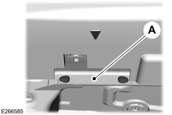 Image Shown Without Description