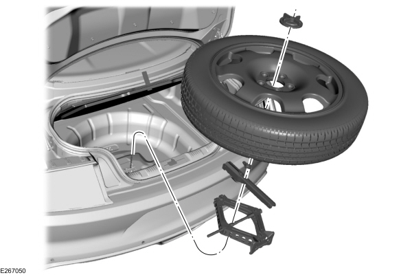 Image Shown Without Description