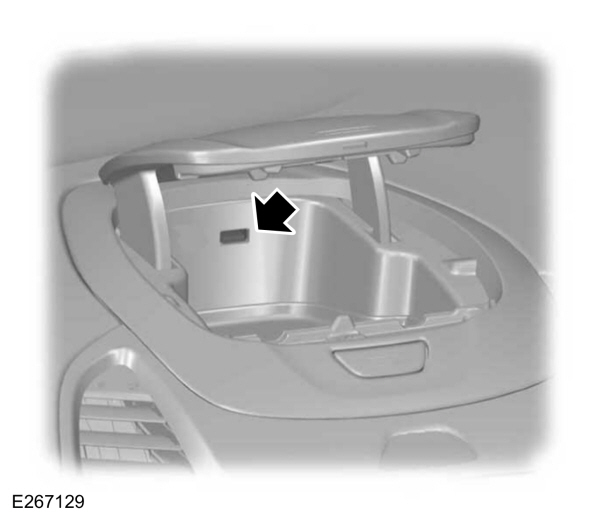 Image Shown Without Description