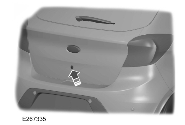 Image Shown Without Description