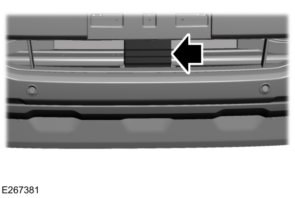 Image Shown Without Description