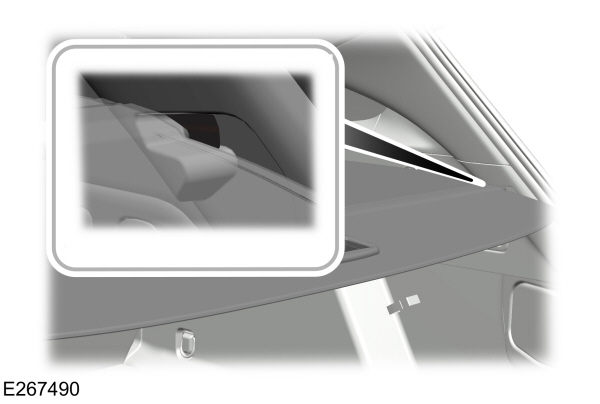 Image Shown Without Description