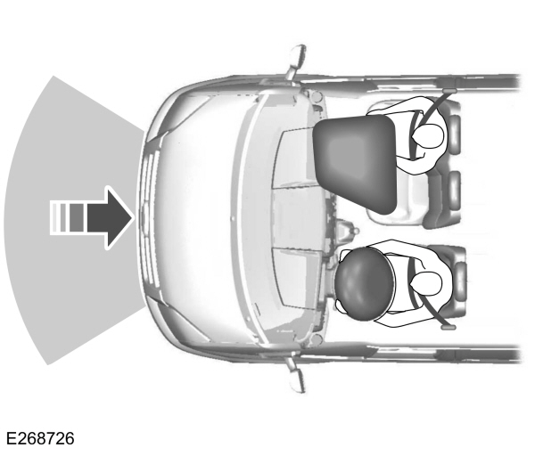 Image Shown Without Description