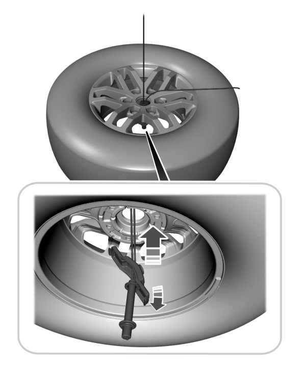 Image Shown Without Description