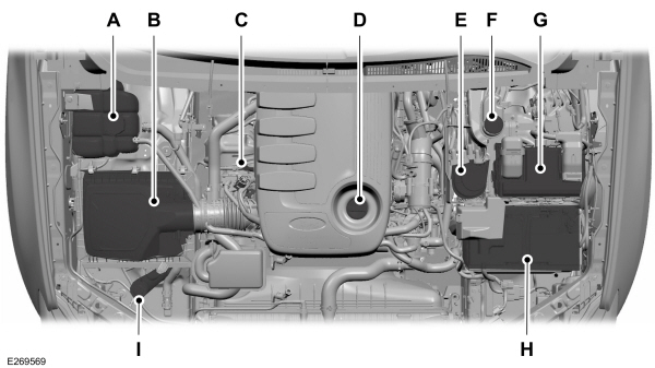 Image Shown Without Description