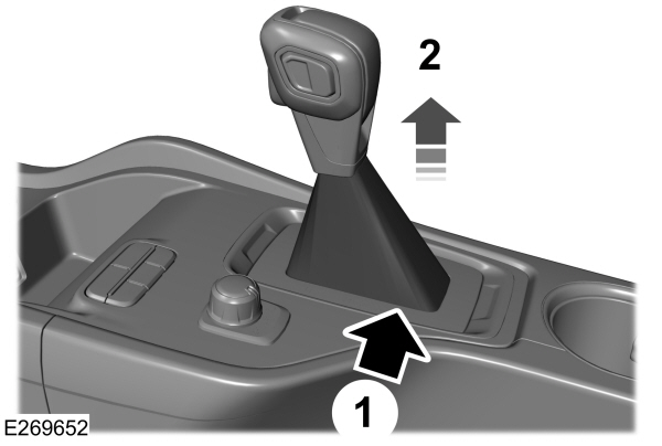 Image Shown Without Description