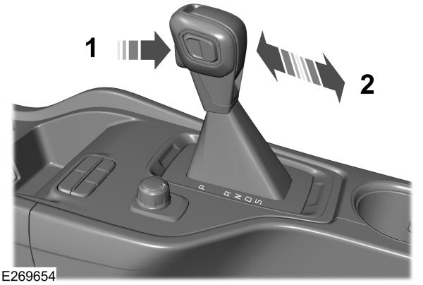 Image Shown Without Description