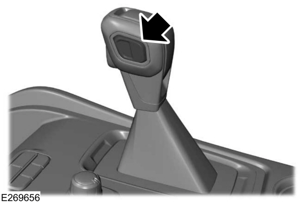 Image Shown Without Description
